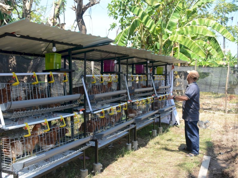 Pemkot Makassar bersama tim pengabdian masyarakat dari perguruan tinggi meluncurkan Program Terpadu Ekonomi Hijau di Kelurahan Tanjung Merdeka, Kecamatan Tamalate, Rabu (17/9/2025). @Jejakfakta/dok. Humas Pemkot Makassar