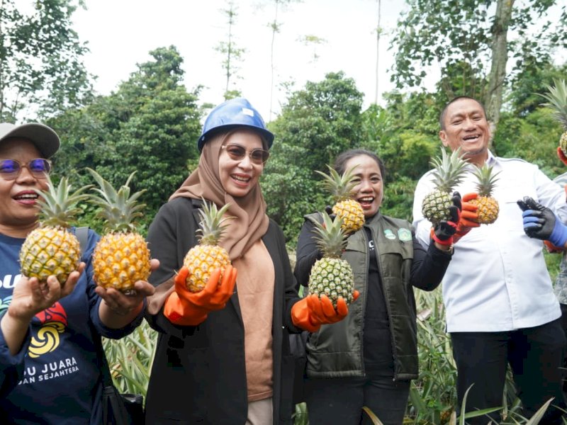 Bupati Luwu Timur, Irwan Bachri Syam, Ketua TP PKK Luwu Timur, dr. Ani Nurbani beserta rombongan Pandu Juara, belajar di sentra nanas Sempu, perkebunan nanas terbesar di Jawa Timur yang terletak di Desa Sempu, Kecamatan Ngancar, Kabupaten Kediri, Rabu, (22/10/2025). @Jejakfakta/dok. ikp-humas/kominfo-sp