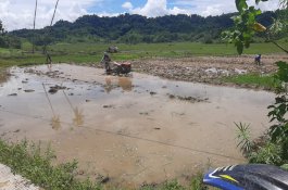 Petani Dua Desa di Enrekang Keluhkan Tak Kunjung Dapat Bantuan Traktor R4