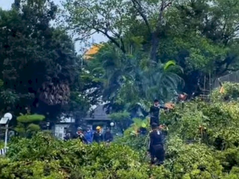 Petugas Dinas Lingkungan Hidup (DLH) Kota Makassar melakukan pemangkasan pohon serta melakukan penebangan pada 56 titik yang dinilai berisiko tinggi. @Jejakfakta/dok. Humas Pemkot Makassar