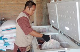 Sukma RS Tekankan Pengawasan Ketat Kesehatan Hewan Jelang Idul Fitri, Daging ASUH Jadi Prioritas