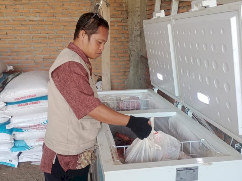 Pengawasan ketat kesehatan hewan menjelang Hari Raya Idul Fitri 1447 Hijriah guna memastikan daging yang dikonsumsi masyarakat tetap aman, sehat, utuh, dan halal (ASUH). @Jejakfakta/dok. Istimewa