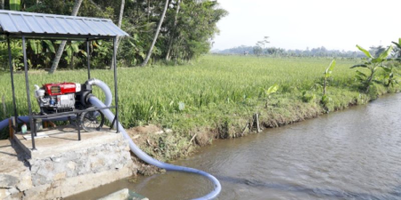 Kementan Siapkan Langkah Mitigasi Hadapi Kemarau Panjang 2026, Pompanisasi Jadi Kunci