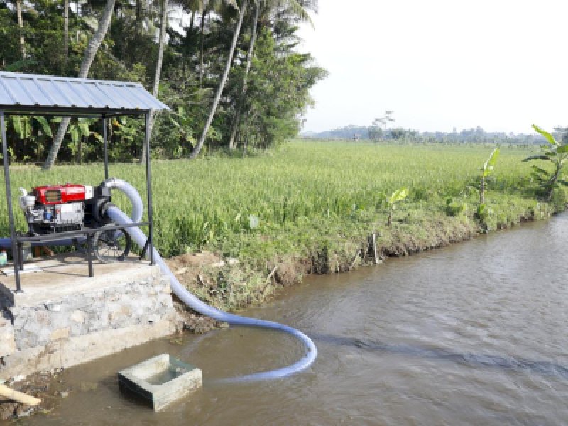 Pompanisasi menjadi instrumen kunci dalam menjaga stabilitas produksi saat kemarau. @jejakfaktacom/Kementerian Pertanian
