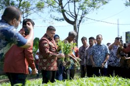 Munafri Genjot Urban Farming dari Lorong ke Kota, Targetkan Makassar Mandiri Pangan