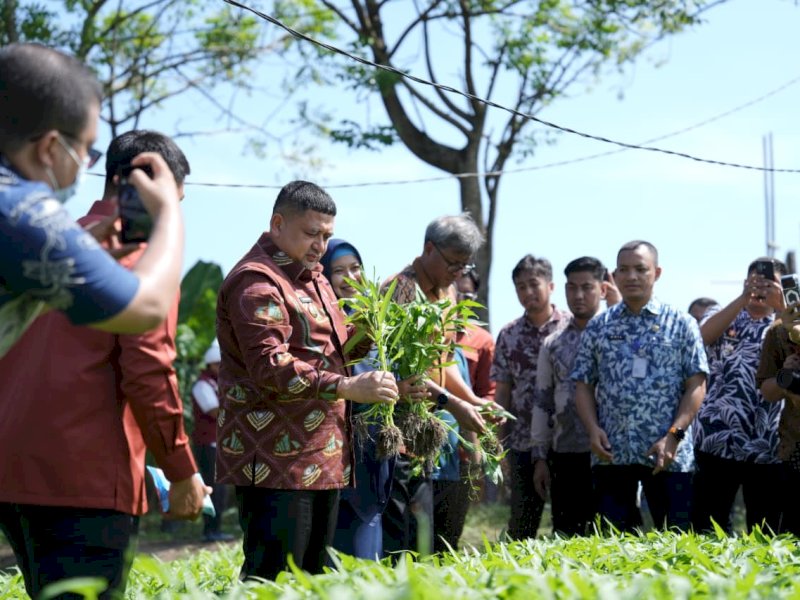 Wali Kota Munafri Arifuddin turun langsung meninjau pengembangan urban farming di dua kecamatan, Tamalate dan Wajo, Kamis (30/4/2026). @Jejakfakta/dok. Humas Pemkot Makassar
