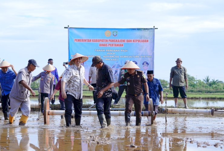 Pangkep Terapkan Pertanian Modern PM-AAS, Target Produksi Padi Naik hingga 9 Ton per Hektare