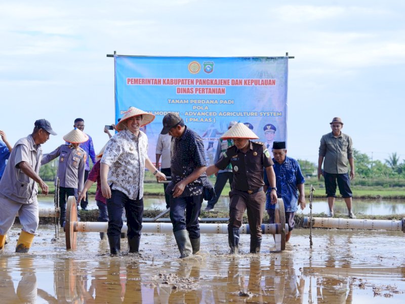 Tanam Perdana Padi pola Pertanian Modern Advance Agriculture System (PM-AAS) tingkat dipimpin langsung Bupati Pangkep, Muhammad Yusran Lalogau (MYL) , di Kampung Beru, Kelurahan Labakkang, Kecamatan Labakkang, Kamis (7/5/2026). @jejakfaktacom/Humas Pemda Pangkep