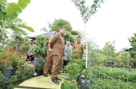 Dari Pekarangan ke Pasar MBG, Urban Farming Makassar Mulai Gerakkan Ekonomi Warga