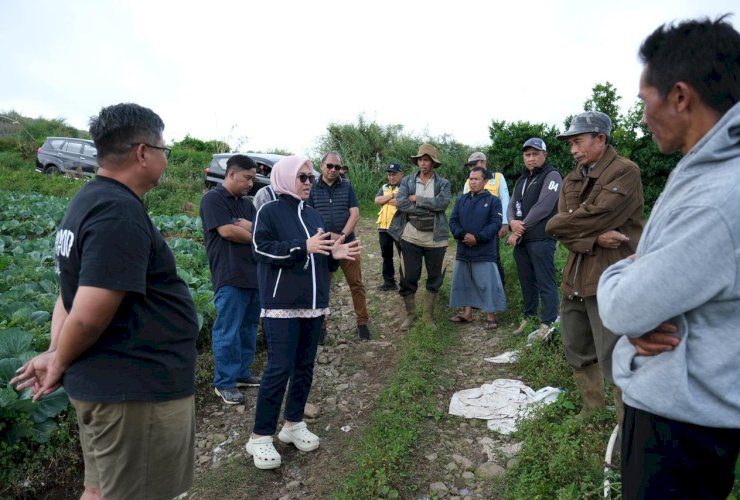 Tiga Ruas Jalan di Tinggimoncong Segera Diaspal, Bupati Gowa Bidik Pertanian dan Wisata Malino Makin Berkembang
