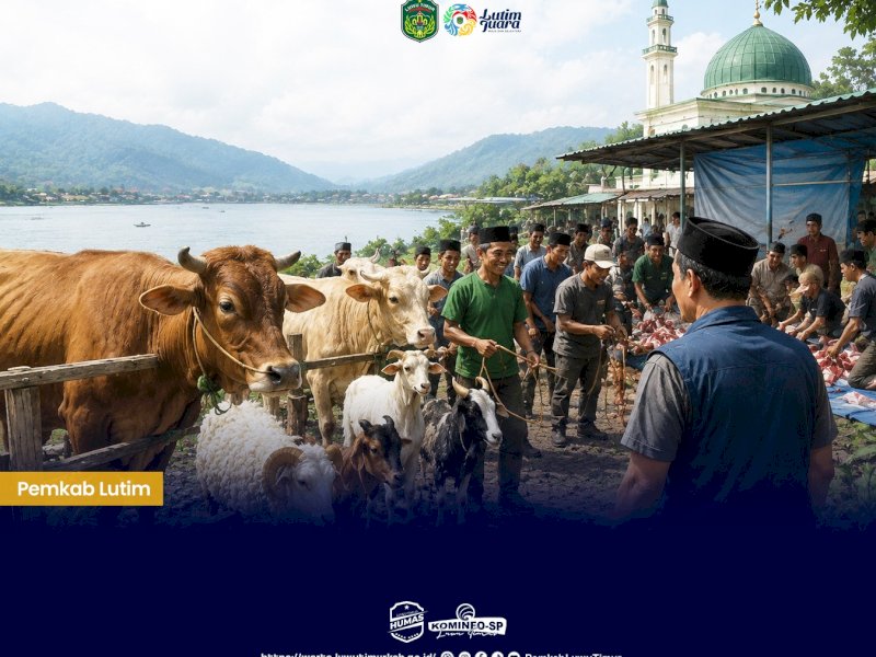 Ilustrasi.  Menyambut Hari Raya Idul Adha 1447 Hijriah, terdata hewan Qurban 593 ekor sapi dan 10 ekor kambing yang tersebar di seluruh desa dan kelurahan di Kecamatan Towuti, Kabupaten Luwu Timur. @Jejakfakta/dok. Humas Pemkab Lutim