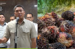 Wamentan Gerak Cepat Atasi Anjloknya Harga TBS Sawit, Panggil Industri dan Satgas Pangan Polri