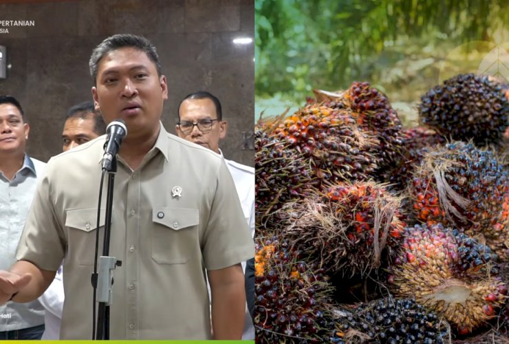Wamentan Gerak Cepat Atasi Anjloknya Harga TBS Sawit, Panggil Industri dan Satgas Pangan Polri