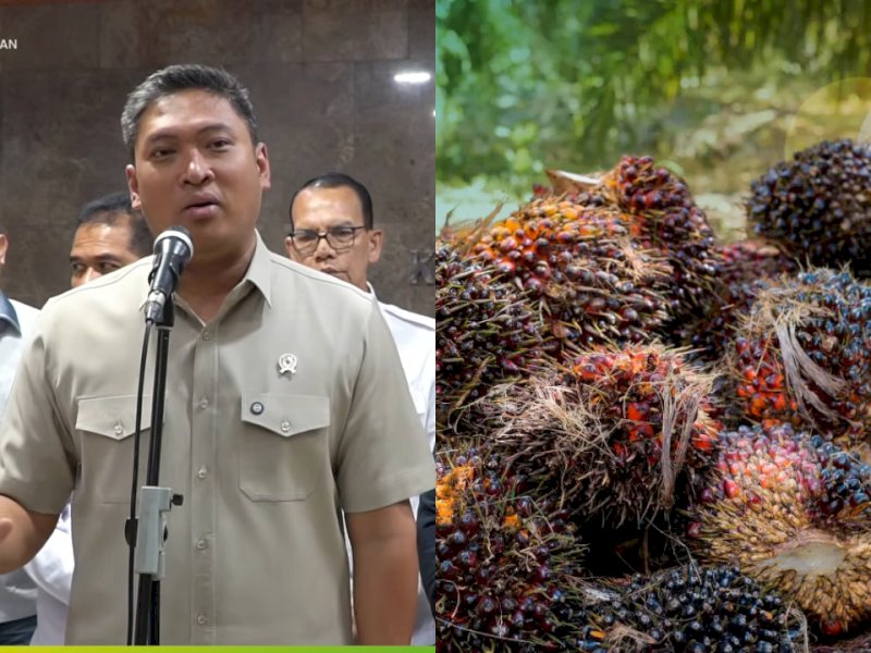 Wamentan Sudaryono gerak cepat meredam penurunan harga tandan buah segar (TBS) sawit dengan rapat koordinasi di Jakarta, Selasa (26/5/2026). @jejakfaktacom/Ist.