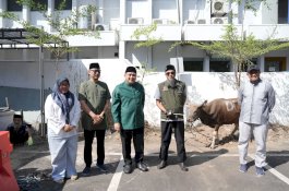 Pemkot Makassar Tebar Kepedulian di Iduladha 2026, 9 Sapi Kurban Disalurkan untuk Warga dan Petugas Kebersihan