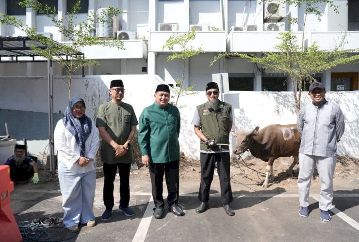 Pemkot Makassar Tebar Kepedulian di Iduladha 2026, 9 Sapi Kurban Disalurkan untuk Warga dan Petugas Kebersihan