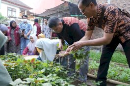 Panen di Tengah Kota: Munafri Apresiasi Urban Farming Tammua Tallo, Lahan Sempit Disulap Jadi Sumber Ekonomi Warga
