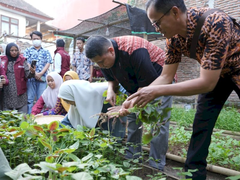 Wali Kota Makassar Munafri Arifuddin bersama Ketua TP PKK Kota Makassar Melinda Aksa melakukan panen bersama di kawasan urban farming Kelurahan Tammua, Kecamatan Tallo, Tallo, Jumat (19/6/2026). @Jejakfakta/dok. Humas Pemkot Makassar