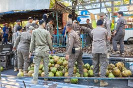 Tanpa Gesekan, 19 Pedagang Kelapa Bongkar Lapak Sendiri Dukung Penataan Kota Makassar