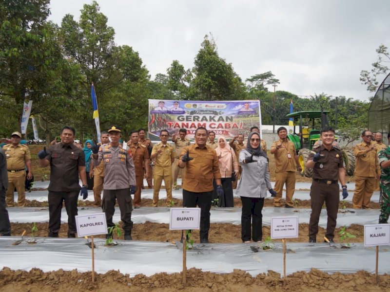 Bupati Luwu Timur, Irwan Bachri Syam, saat  kegiatan Gerakan Tanam Cabai dan Penyerahan Bantuan Sektor Pertanian Tahun 2026 di Kebun Hortikultura Desa Balai Kembang, Kecamatan Mangkutana, Senin (29/6/2026). @Jejakfakta/Ist.