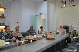 Wabup Luwu Timur Ikuti Raker dan RDPU Komisi II DPR RI, Bahas Reformulasi Fiskal Daerah