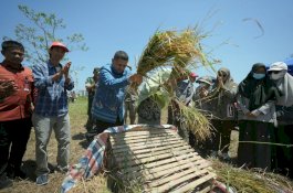 Munafri Salurkan 2.000 Liter Pupuk dan Ribuan Kilogram Benih untuk Kelompok Tani Makassar