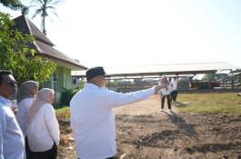 Lama Tak Terurus, Munafri Akan Benahi RPH Tamangapa Jadi Kawasan Produktif Terintegrasi