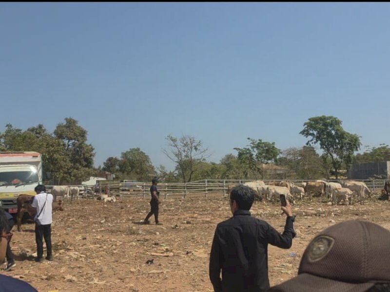 Penataan kawasan TPA Tamangapa dengan mengubah pola pengelolaan sampah dari sekadar membuang menjadi memilah, mengolah, dan memanfaatkan kembali. @Jejakfakta/dok. Humas Pemkot Makassar