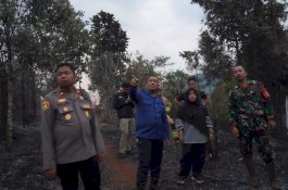 Api dari Lahan Kebun Menjalar ke Kawasan Hutan Puncak Indah, Pemadaman Terkendala Medan