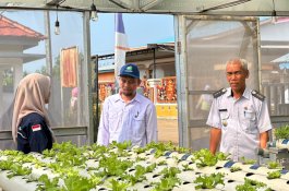 DLH Luwu Timur Dorong Aksi Iklim Berbasis Desa, Tabarano dan Balantang Bidik Proklim Utama 2026