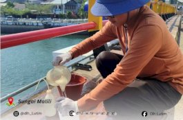 DLH Luwu Timur Pantau Kualitas Air Sejumlah Sungai, Perkuat Pengendalian Pencemaran