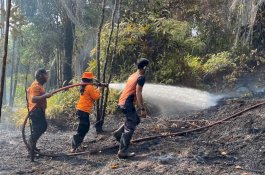 Karhutla Hanguskan Dua Hektare Lahan di Malili, BPBD Lutim Imbau Warga Waspada