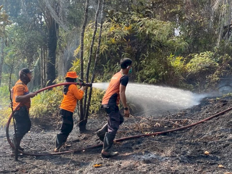 Lahan seluas dua hektare yang dilalap si jago merah di Desa Puncak Indah, Kecamatan Malili, Kabupaten Luwu Timur, Provinsi Sulawesi Selatan, Kamis (17/9) @Jejakfakta/dok. BPBD Kabupaten Luwu Timur